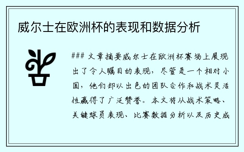 威尔士在欧洲杯的表现和数据分析